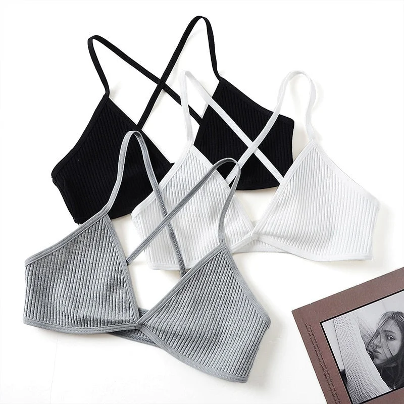 2 PCS comfort Ziggy cotton bras for women Soft Mesh Bra